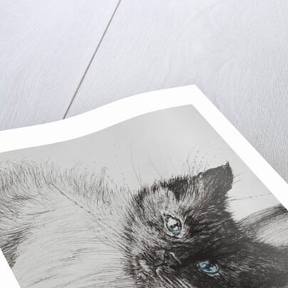 Reach, 2012 by Vincent Alexander Booth