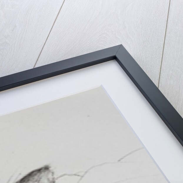 Monty sleepy boy, 2013 by Vincent Alexander Booth