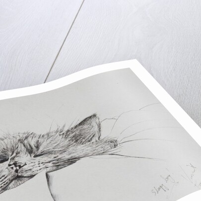 Monty sleepy boy, 2013 by Vincent Alexander Booth