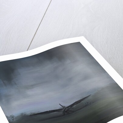 les secret obscure, 2014 by Vincent Alexander Booth