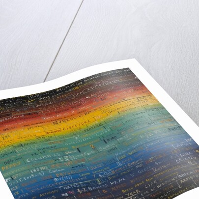 Sun Bond, 2014 by Vincent Alexander Booth