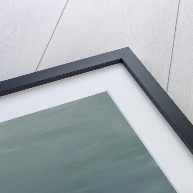 Ships and boats at Cannes, 2014 by Vincent Alexander Booth