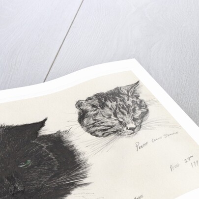 Diddybigface & colliebeastie, 1996 by Vincent Alexander Booth