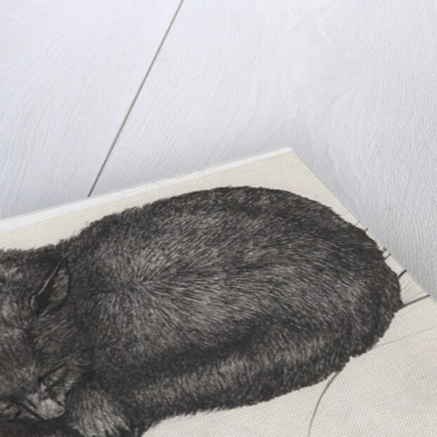 Diddy big face, 1997 by Vincent Alexander Booth