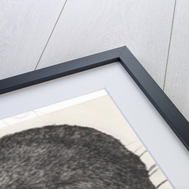 Diddy big face, 1997 by Vincent Alexander Booth