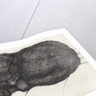 Diddy big face, 1997 by Vincent Alexander Booth