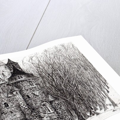 The Castle in the forest of Findhorn, 2006 by Vincent Alexander Booth