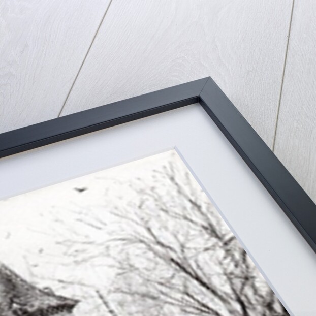 Gatehouse of The Castle in the forest of Findhorn, 2006 by Vincent Alexander Booth