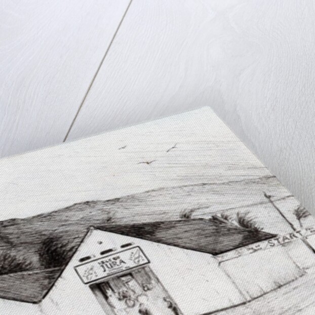 Jura Race start, 2005 by Vincent Alexander Booth