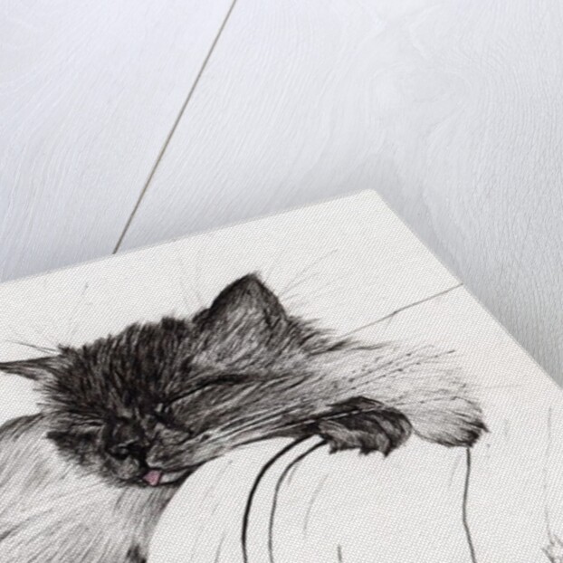 Sleepy Baby by Vincent Alexander Booth