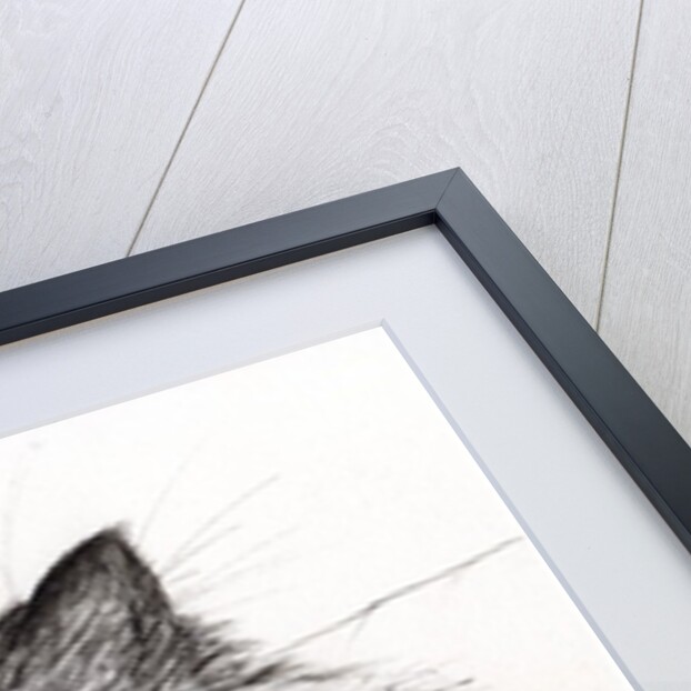 Sleepy Baby by Vincent Alexander Booth