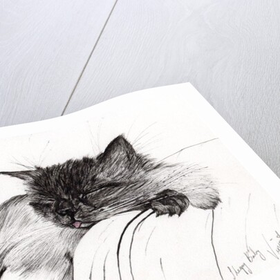 Sleepy Baby by Vincent Alexander Booth