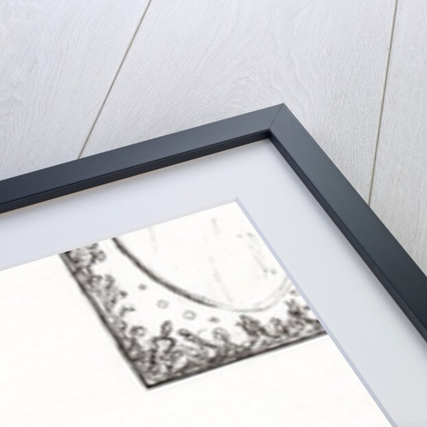 Goldfish bowl puzzle, 2009 by Vincent Alexander Booth