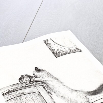 Goldfish bowl puzzle, 2009 by Vincent Alexander Booth