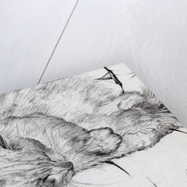 Montwee, 2000 by Vincent Alexander Booth