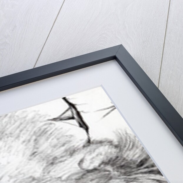 Montwee, 2000 by Vincent Alexander Booth