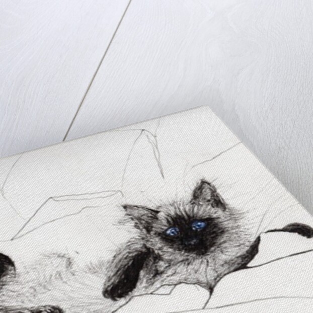 cheeky baby by Vincent Alexander Booth