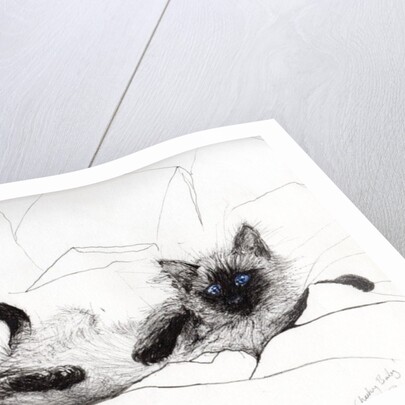 cheeky baby by Vincent Alexander Booth