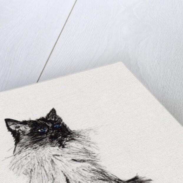 Baby, 2008, by Vincent Alexander Booth