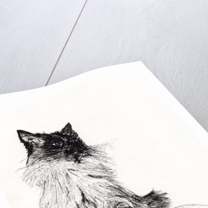 Baby, 2008, by Vincent Alexander Booth