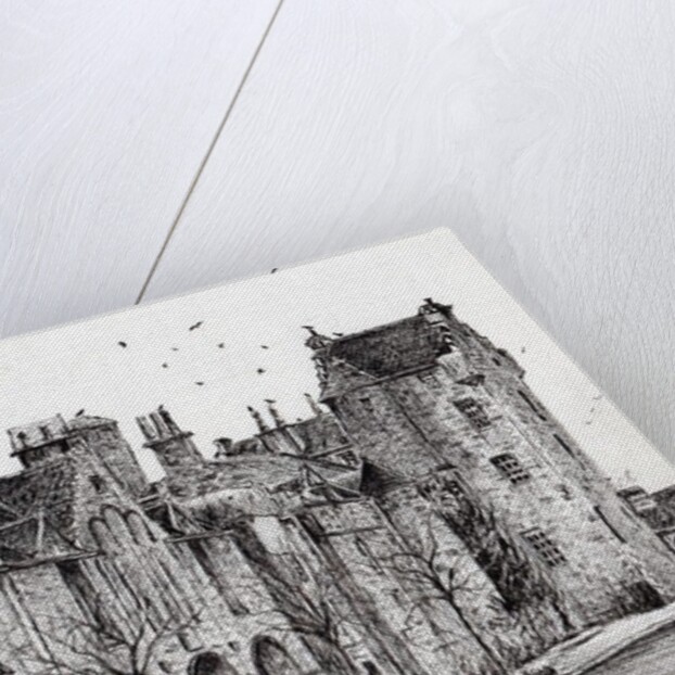 Dornoch Scotland, 2006 by Vincent Alexander Booth