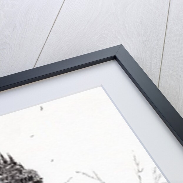 Wallace monument, 2007 by Vincent Alexander Booth