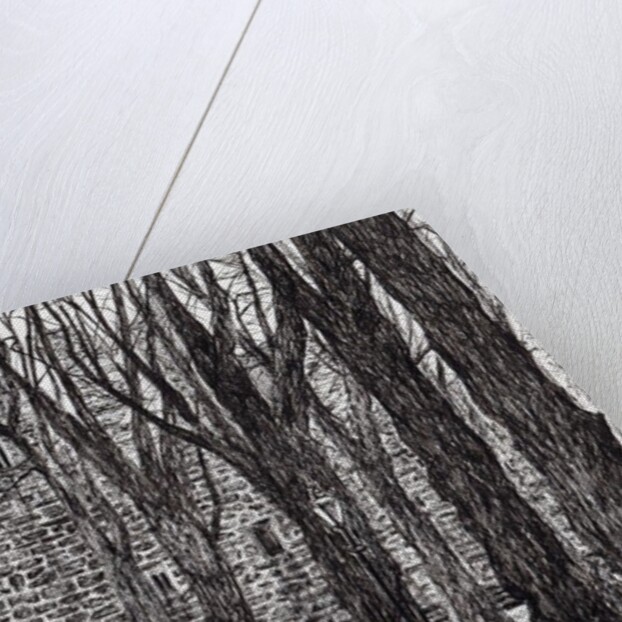 Huntly Castle Scotland, 2007 by Vincent Alexander Booth