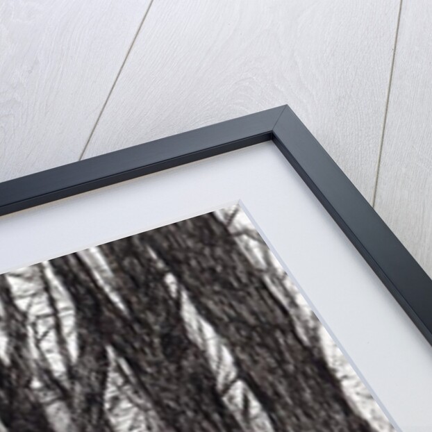 Huntly Castle Scotland, 2007 by Vincent Alexander Booth