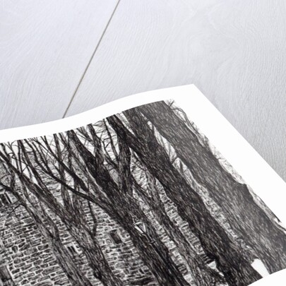 Huntly Castle Scotland, 2007 by Vincent Alexander Booth