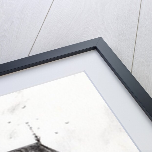 Gorton Monastery, 2006 by Vincent Alexander Booth