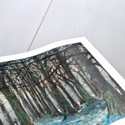 Stag and Runner Lyme Park, 2016 by Vincent Alexander Booth