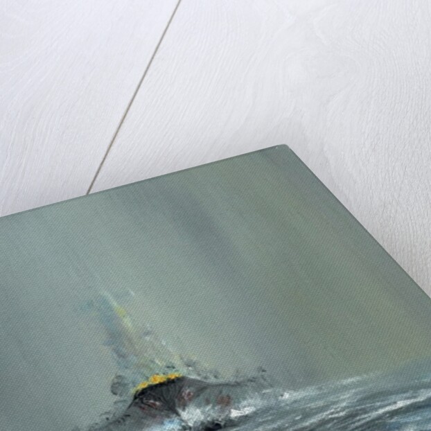 Battleship Yamato 1945, 2016 by Vincent Alexander Booth