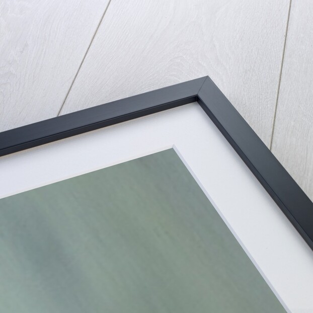 Battleship Yamato 1945, 2016 by Vincent Alexander Booth