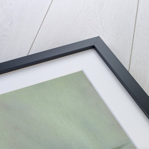 Vulcan B1 sortie, 2016 by Vincent Alexander Booth