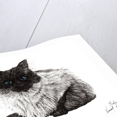 Baby blue eyes by Vincent Alexander Booth