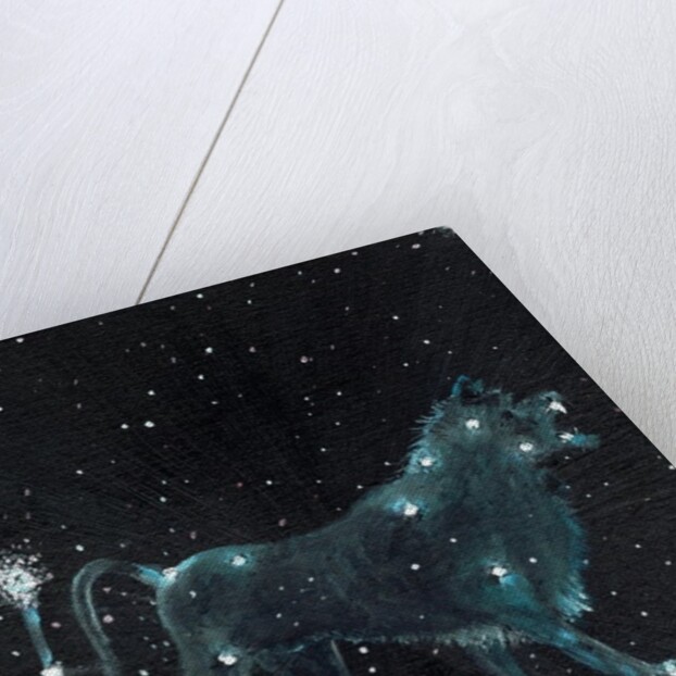 Star sign Leo, 2016 by Vincent Alexander Booth
