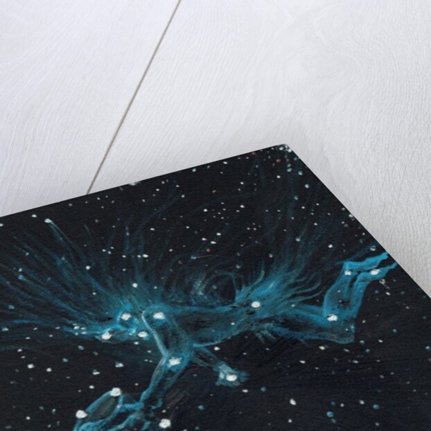 Star sign Aquarius, 2016 by Vincent Alexander Booth