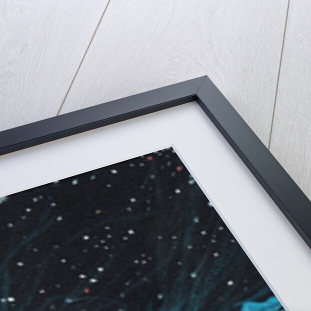 Star sign Aquarius, 2016 by Vincent Alexander Booth