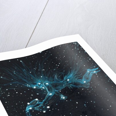 Star sign Aquarius, 2016 by Vincent Alexander Booth