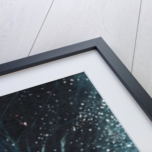 Star sign Geminii, 2016 by Vincent Alexander Booth