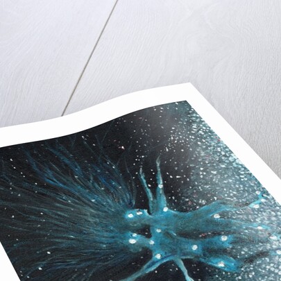 Star sign Geminii, 2016 by Vincent Alexander Booth