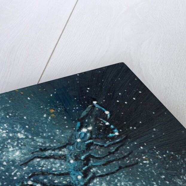 Star sign Scorpio, 2016 by Vincent Alexander Booth