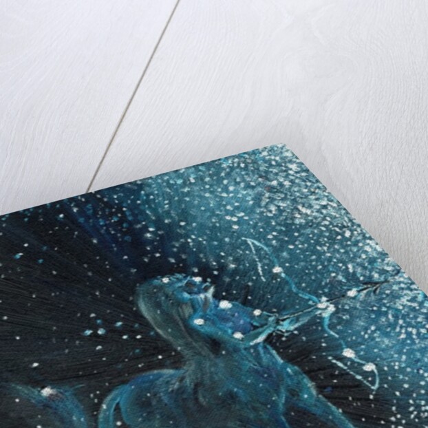 Star sign Sagitarius, 2016 by Vincent Alexander Booth