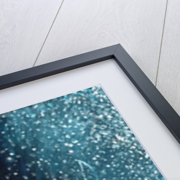 Star sign Sagitarius, 2016 by Vincent Alexander Booth