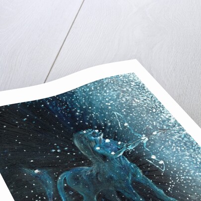 Star sign Sagitarius, 2016 by Vincent Alexander Booth