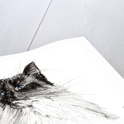 Why?, 2016 by Vincent Alexander Booth