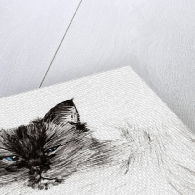 Sleepy eye, 2015 by Vincent Alexander Booth