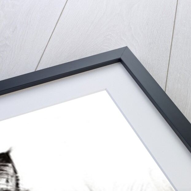 Sleepy eye, 2015 by Vincent Alexander Booth