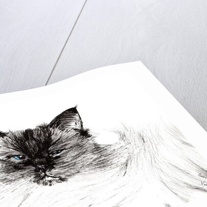 Sleepy eye, 2015 by Vincent Alexander Booth