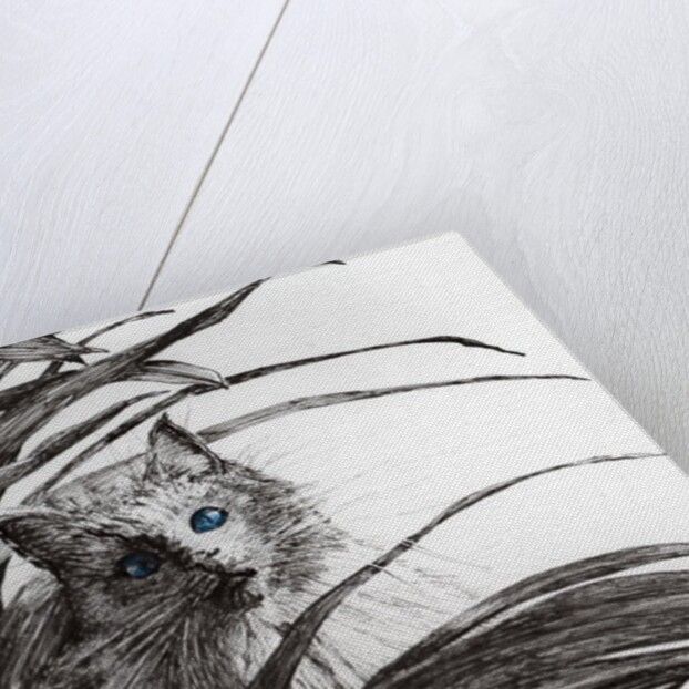 Monty plant, 2015 by Vincent Alexander Booth